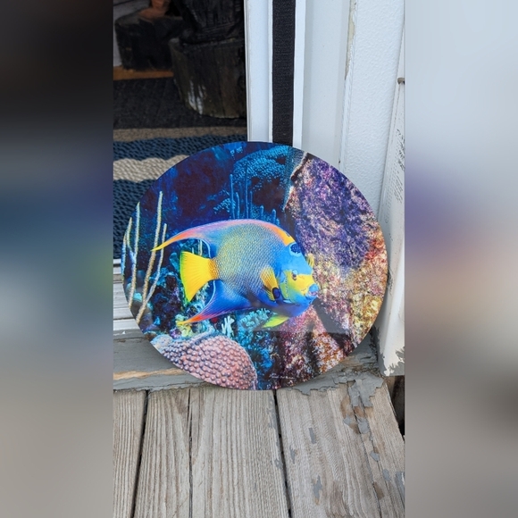 Queen Angel Fish Picture (New) - Picture 1 of 4